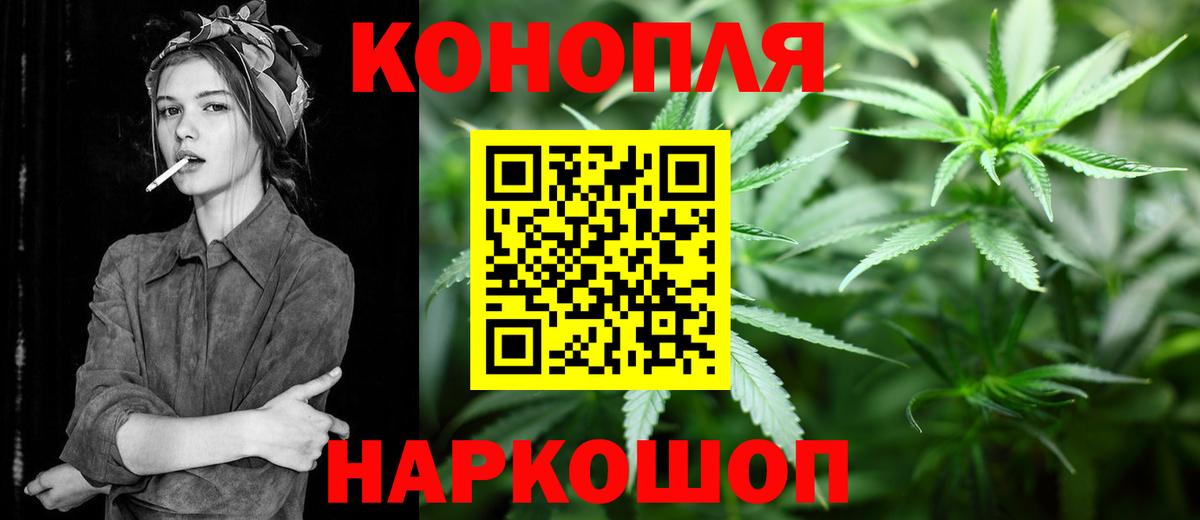 МАРИХУАНА гибрид Грозный